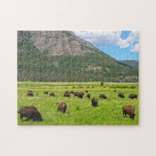 Bisson Montana. Jigsaw Puzzle