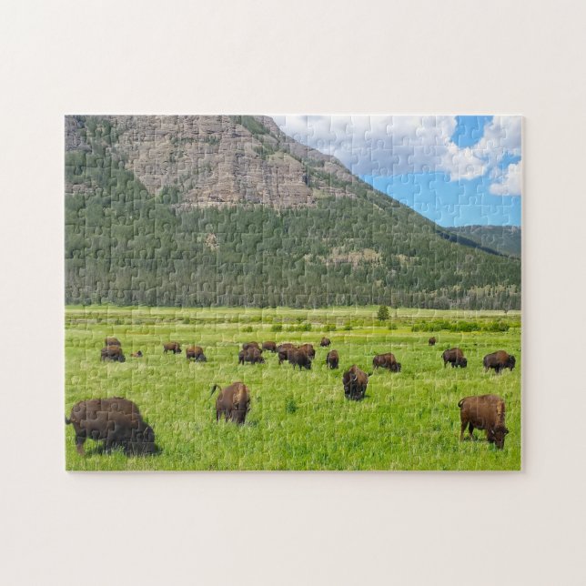 Bisson Montana. Jigsaw Puzzle (Horizontal)