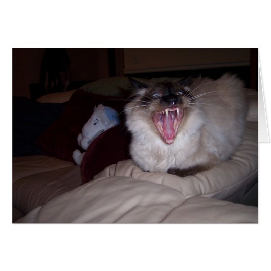 Bite ME! (Front Horizontal)