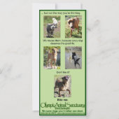 Bite Me rack card (Back)