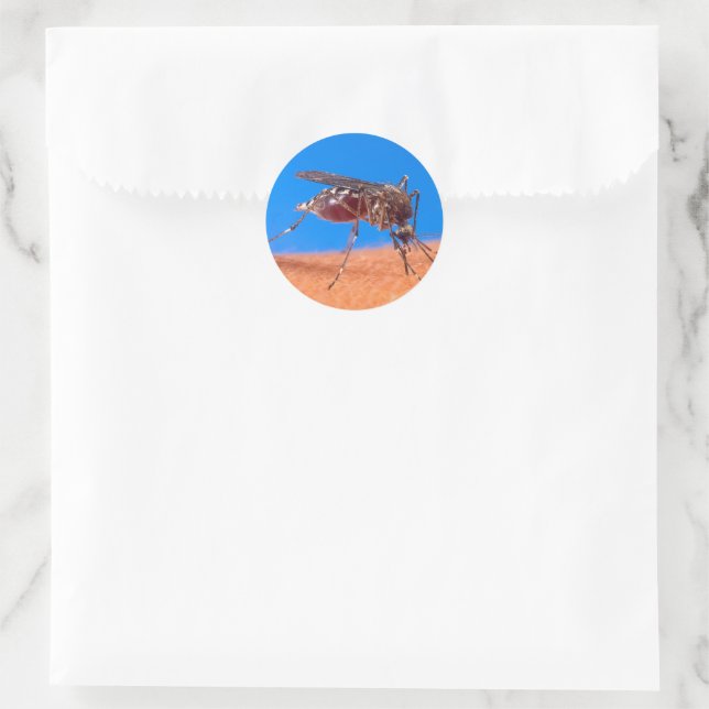 Biting Mosquito Bloodsucking Insect Photo Classic Round Sticker (Bag)