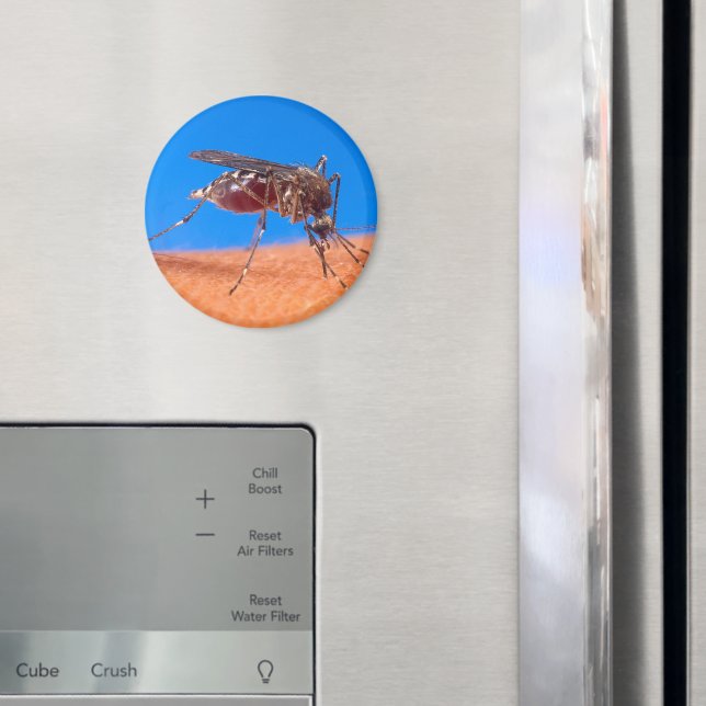Biting Mosquito Bloodsucking Insect Photo Magnet (In Situ (Fridge))