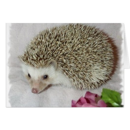 Bitsy the Hedgehog  Cards (Front Horizontal)
