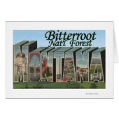 Bitterroot Nat'l Forest, Montana (Front Horizontal)