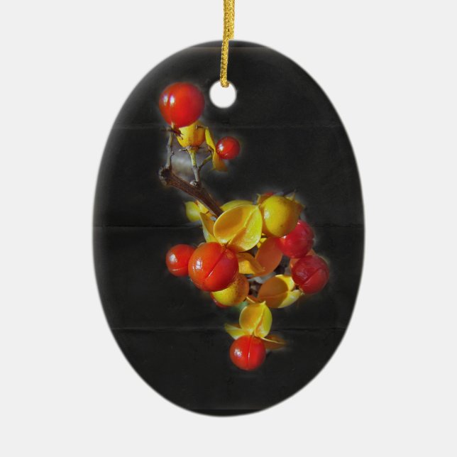 Bittersweet Berries - Autumn Beauty Ceramic Ornament (Front)