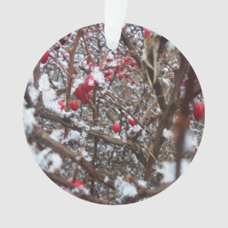 Bittersweet Berries Ornament