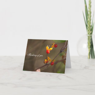 Bittersweet Thinking of You Notecard