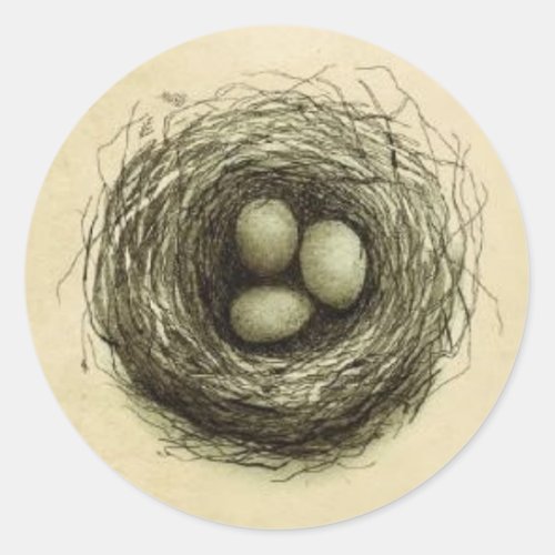 Bitty Bird Nest Classic Round Sticker