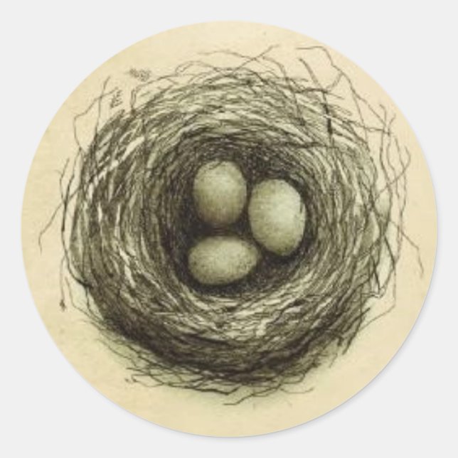 Bitty Bird Nest Classic Round Sticker (Front)