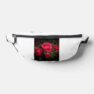 bizierstyersk fanny pack