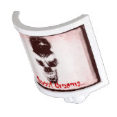 Bizzareworld Vintage Style Skull Night Light (Angled)