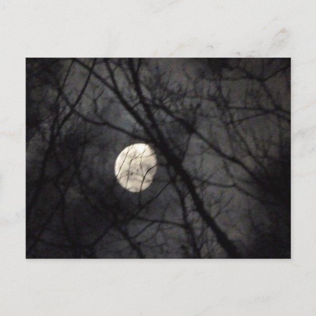 BL- Moon and Trees Nature Postcard (Front)