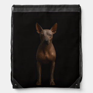 Black 4 Luxe backpack, Argentina Pila Dog Drawstring Bag