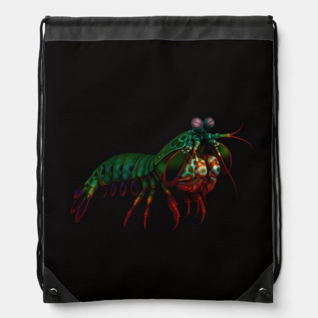 Black 4 Luxe backpack, Mantis Shrimp Drawstring Bag (Front)
