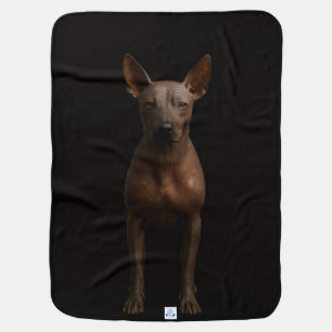 Black 4 Luxe blanket with Argentina Pila Dog
