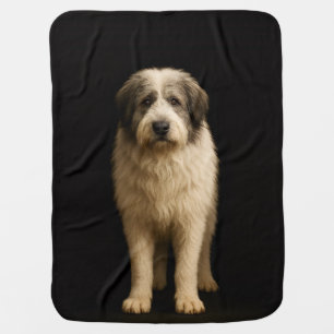 Black 4 Luxe blanket with Miorititc Shepherd