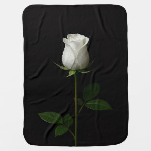 Black 4 Luxe blanket with Pure White Rose