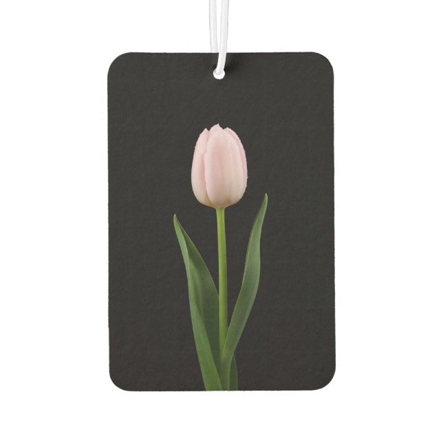 Black 4 Luxe Car Air Fresheners Blush Pink Tulip (Back)