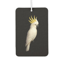 Black 4 Luxe Car Air Fresheners, Crested Cockatoo