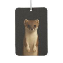 Black 4 Luxe Car Air Fresheners, Elegant Weasel