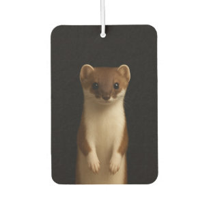 Black 4 Luxe Car Air Fresheners, Elegant Weasel Air Freshener