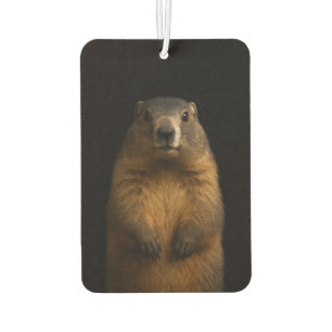 Black 4 Luxe Car Air Fresheners, Fluffy Marmot Air Freshener
