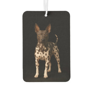 Black 4 Luxe Car Air Fresheners, Hairless Terrier Air Freshener