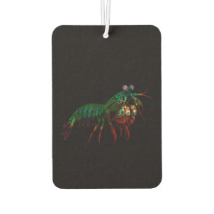 Black 4 Luxe Car Air Fresheners, Mantis Shrimp Air Freshener