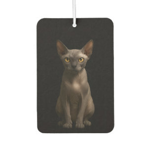Black 4 Luxe Car Air Fresheners, Sphynx Cat Air Freshener