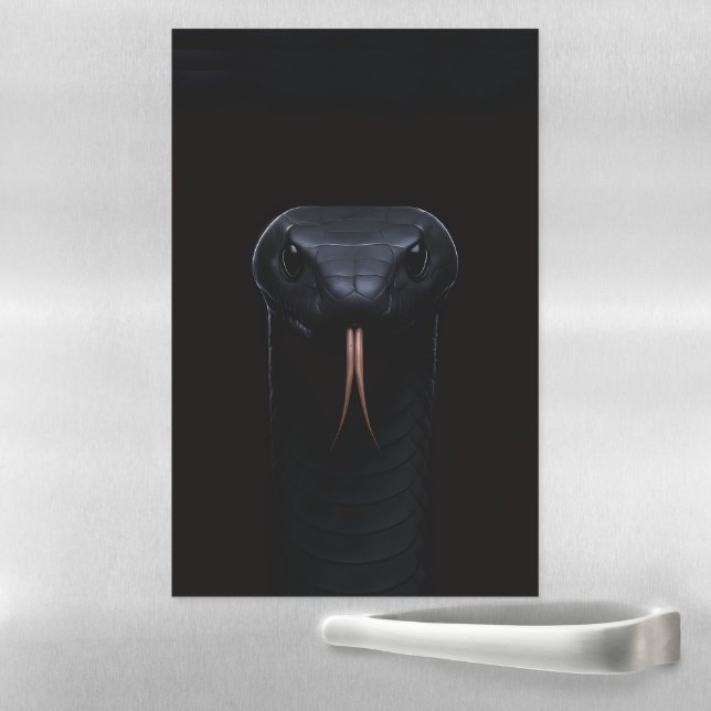 Black 4 Luxe Dry Erase Magnetic Sheet, Black Mamba Sheet (In Situ)