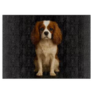 Black 4 Luxe Glass board Cavalier Spaniel