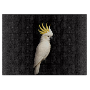 Black 4 Luxe Glass board Crested Sulphur Cockatoo