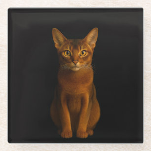 Black 4 Luxe Glass coaster, Abyssinian Beauty Glass Coaster