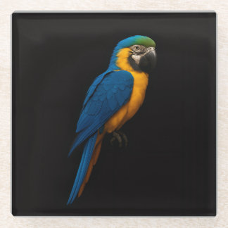 Black 4 Luxe Glass coaster, Blue Yellow Macaw Coaster