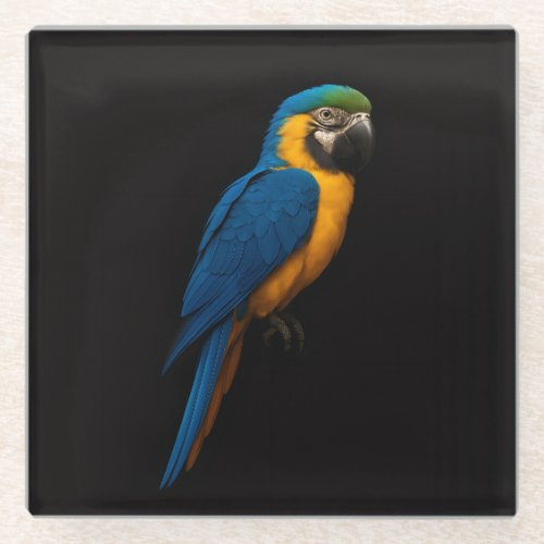 Black 4 Luxe Glass coaster, Blue Yellow Macaw Coaster