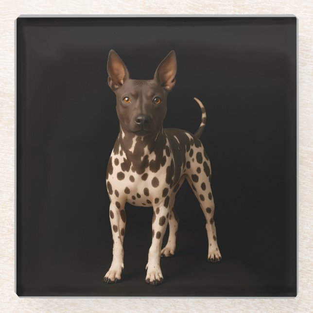 Black 4 Luxe Glass coaster, Hairless Terrier Dog Glass Coaster (Front)