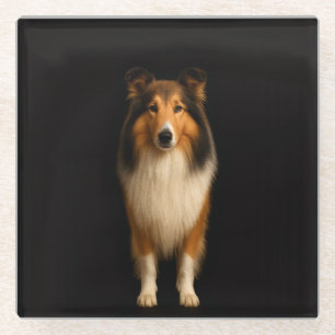 Black 4 Luxe Glass coaster, Loyal Collie Dog Coaster