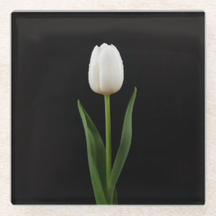 Black 4 Luxe Glass coaster, Pearl White Tulip Glass Coaster