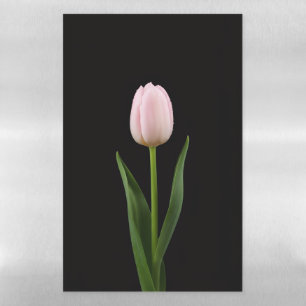 Black 4 Luxe Magnetic Sheet, Blush Pink Tulip Dry Erase Sheet