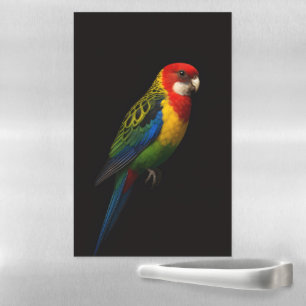 Black 4 Luxe Magnetic Sheet, Eastern Rosella Dry Erase Sheet