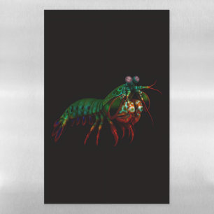 Black 4 Luxe Magnetic Sheet, Mantis Shrimp Dry Erase Sheet