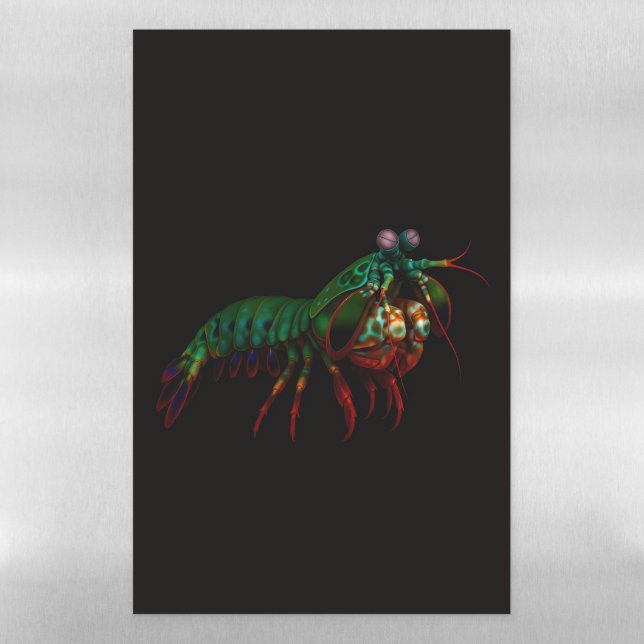 Black 4 Luxe Magnetic Sheet, Mantis Shrimp Dry Erase Sheet (Vertical)