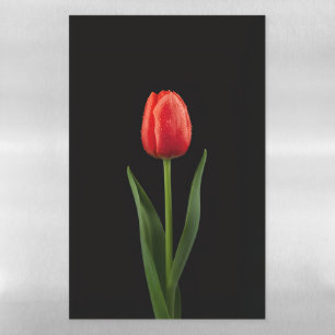 Black 4 Luxe Magnetic Sheet, Ruby Red Tulip Dry Erase Sheet