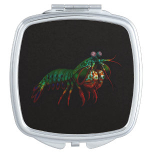 Black 4 Luxe mirror, Mantis Shrimp Compact Mirror