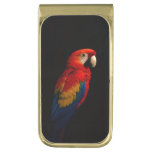 Black 4 Luxe Money Clip with Scarlet Parrot