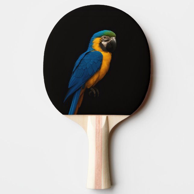 Black 4 Luxe ping pong paddle, Blue Yellow Macaw Paddle (Back)