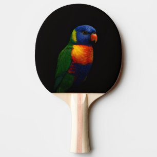 Black 4 Luxe ping pong paddle, Lorikeet Parrot Paddle