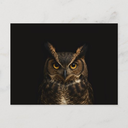 Black 4 Luxe Postcard with Golden Eye Owl