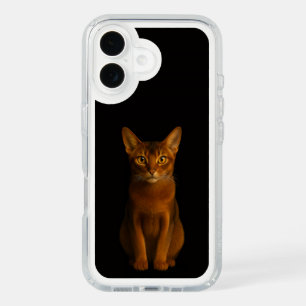 Black 4 Luxe Presidio iPhone 16, Abyssinian Beauty iPhone 16 Case