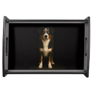 Black 4 Luxe serving tray, Aussie Shepherd Dog Tray